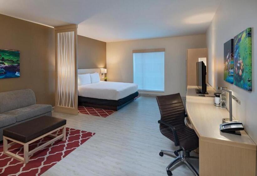 اتاق استاندارد با تخت بزرگ, Hyatt Place Tegucigalpa