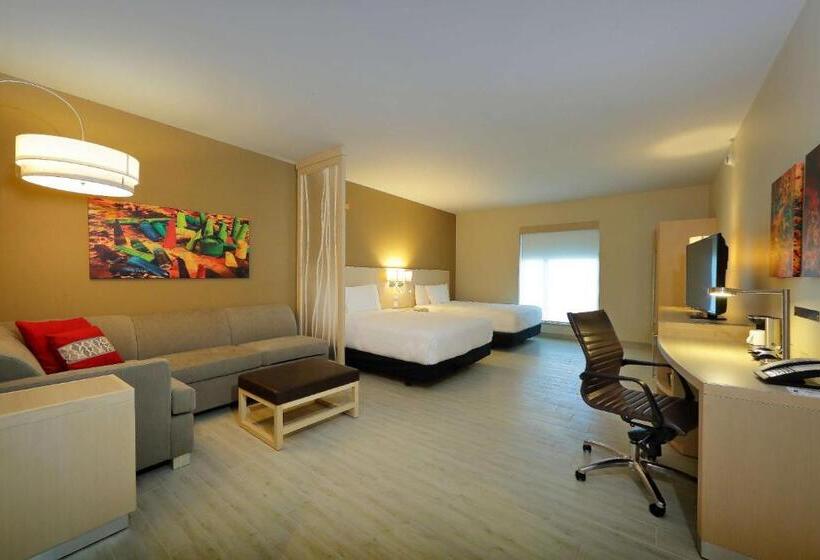 اتاق استاندارد با تخت بزرگ, Hyatt Place Tegucigalpa