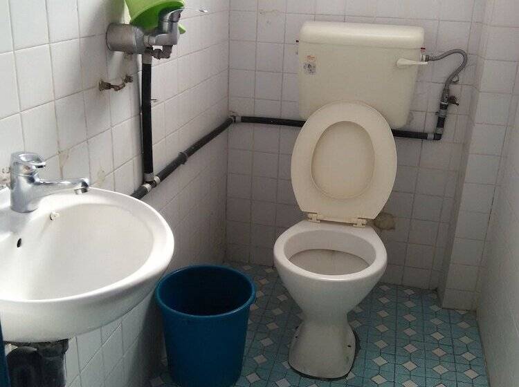 Номер Стандарт, Kapit