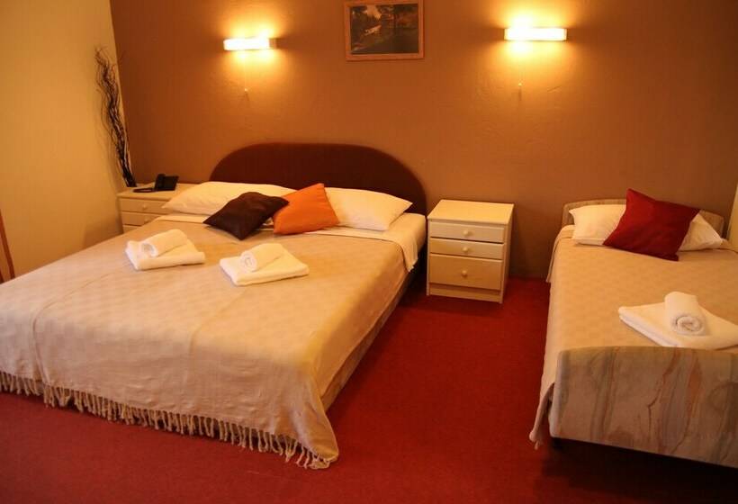 Номер Стандарт Трехместный, Pansion Park