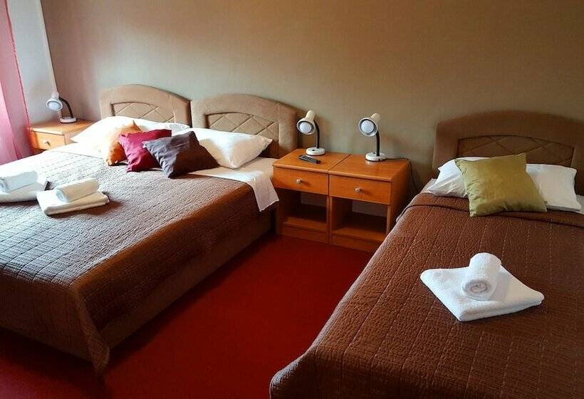 Номер Стандарт Трехместный, Pansion Park