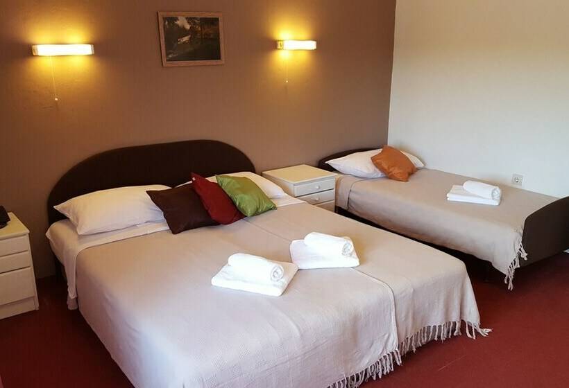 Номер Стандарт Трехместный, Pansion Park