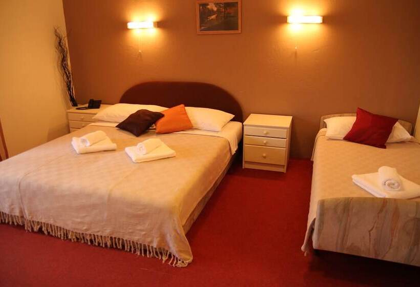 Номер Стандарт Трехместный, Pansion Park