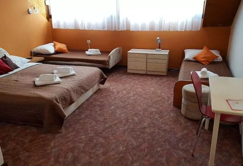 スタンダード４人部屋, Pansion Park