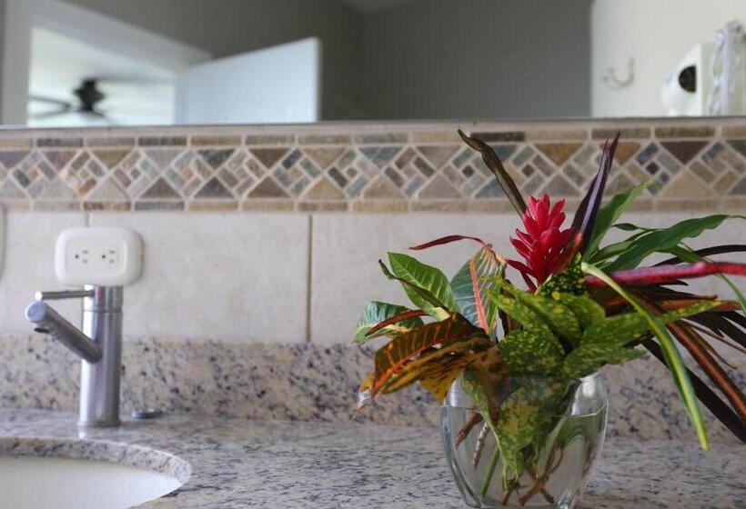 חדר דלוקס, The Hideaway