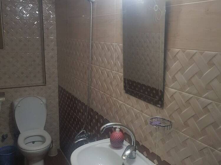 اتاق استاندارد با سرویس بهداشتی مشترک, Downtown Inn