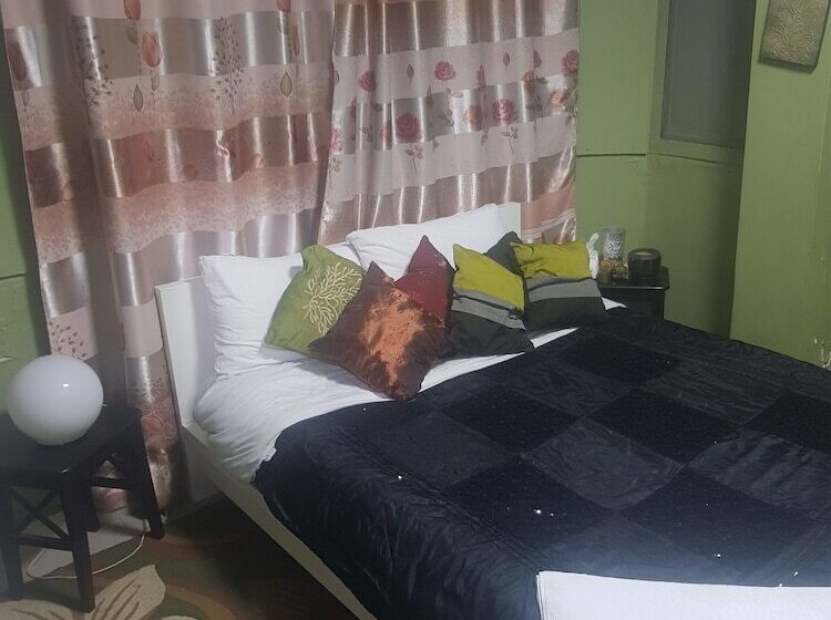 اتاق استاندارد با سرویس بهداشتی مشترک, Downtown Inn