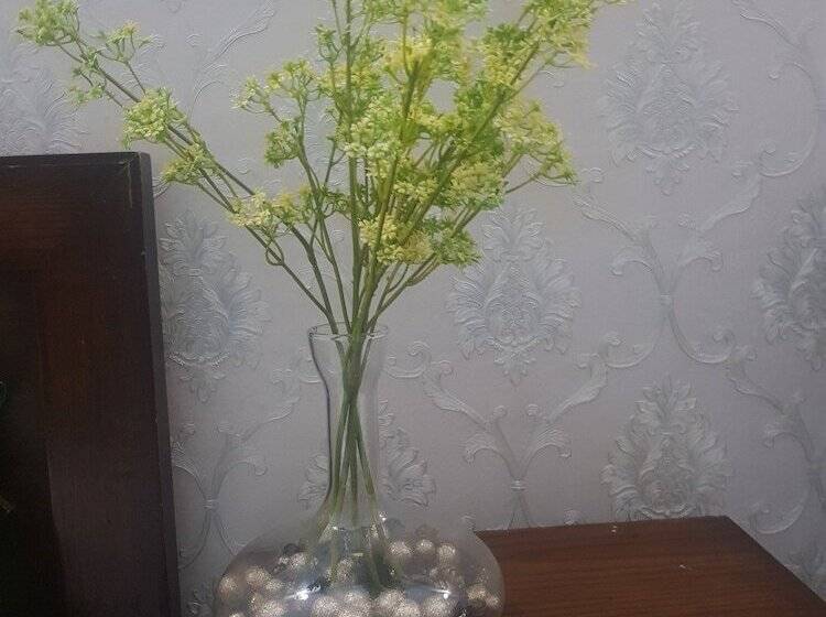 اتاق استاندارد سه نفره, Downtown Inn