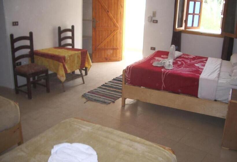 اتاق استاندارد چهار تخته, Sheherazade Luxor