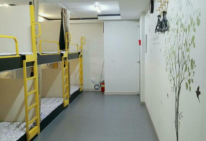 Pat in Cameră Comună, Dream Guesthouse