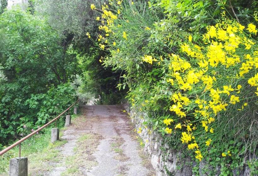 غرفة قياسية فردية, Surf Hotel Pier   Montagnoli Group