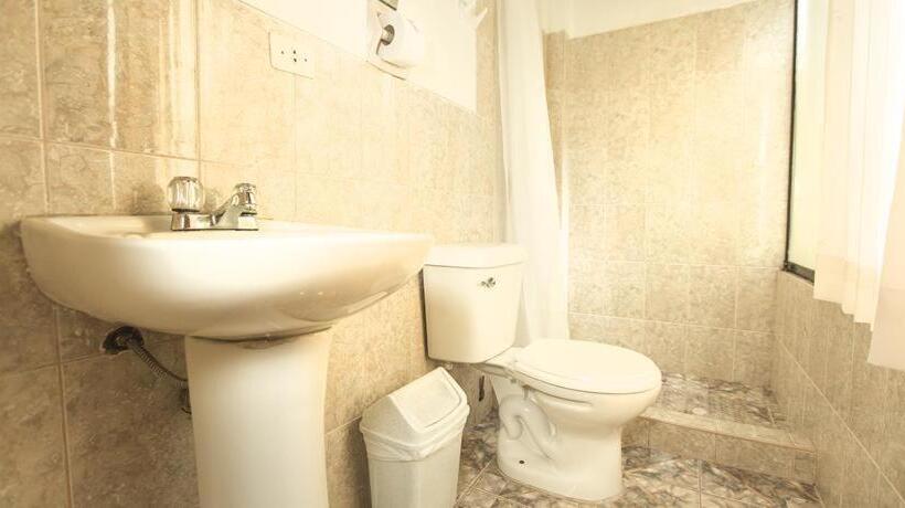 주니어 스위트, Andean Dreams