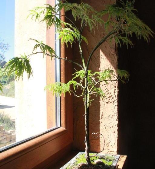 标准单人间, El Trasgu De Foncebadon