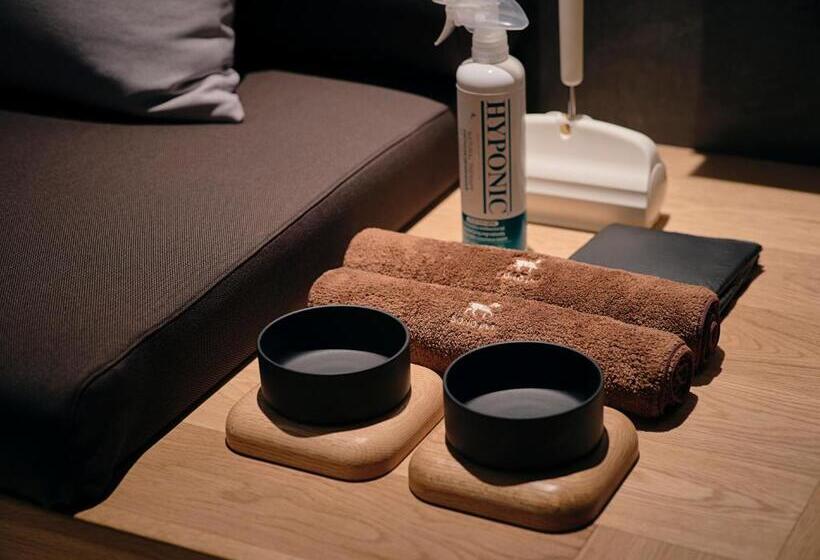 חדר משפחתי, Sono Calm Goyang