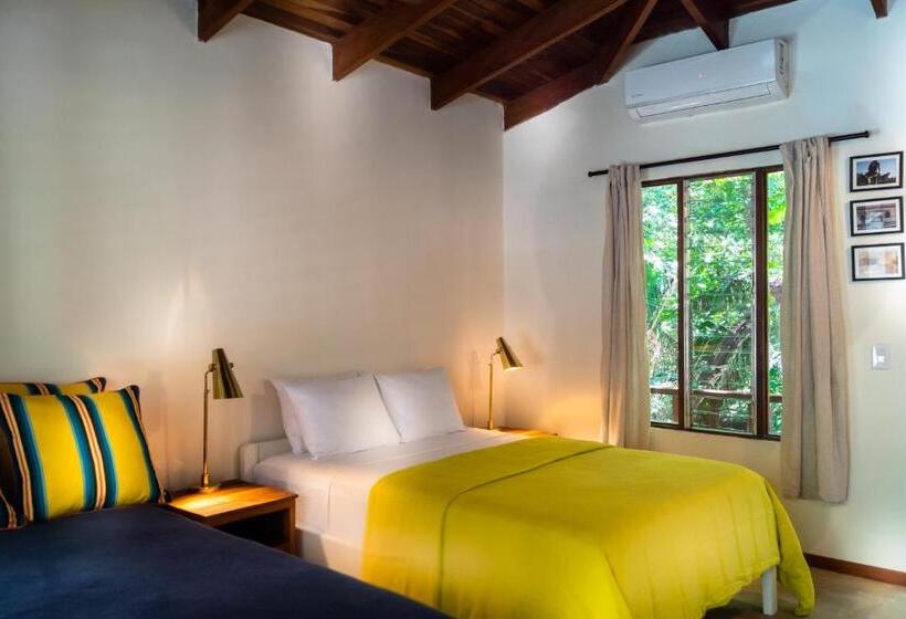 غرفة قياسية, The Sunset Shack