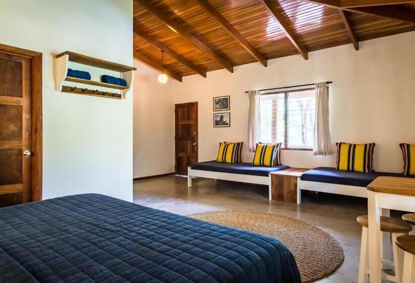 غرفة ديلوكس, The Sunset Shack