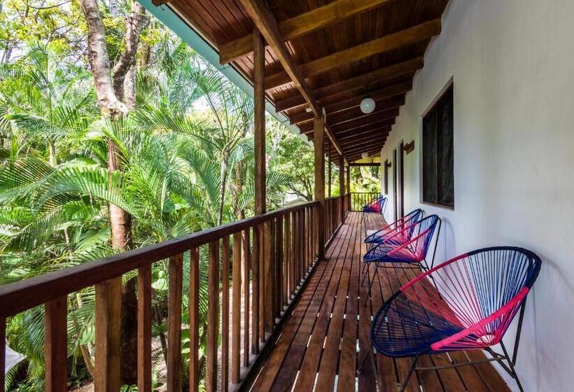 غرفة ديلوكس, The Sunset Shack