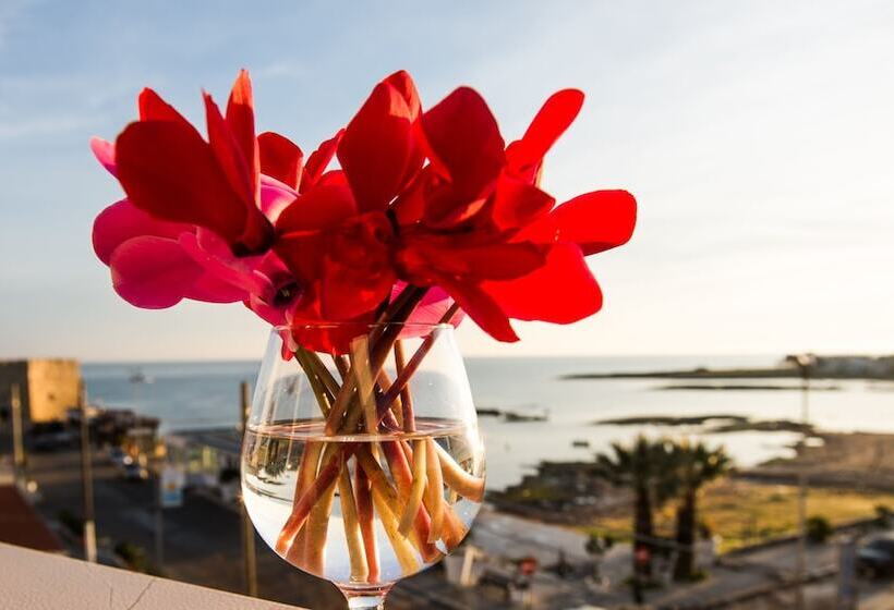 سوییت با چشمانداز دریا, Ci.co