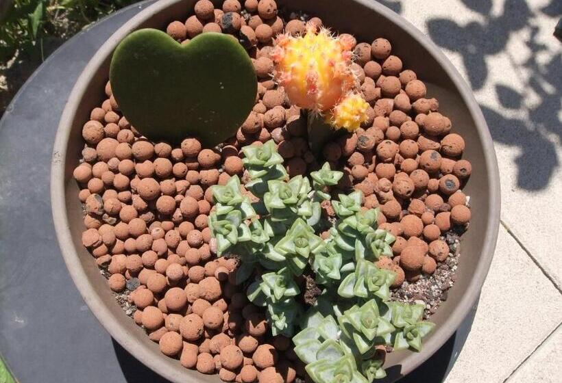 חדר סטנדרט, Les Terrasses Du Paradis