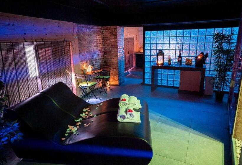 اتاق استاندارد با دسترسی به اسپا, Angioino & Spa