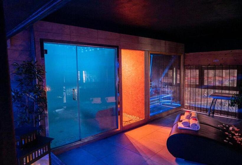 اتاق استاندارد با دسترسی به اسپا, Angioino & Spa