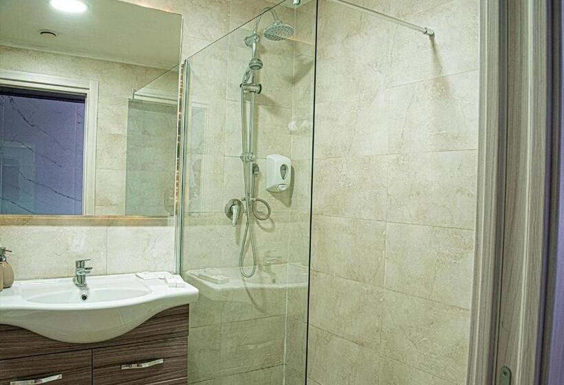 اتاق استاندارد با دسترسی به اسپا, Angioino & Spa