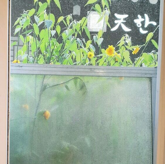 اتاق استاندارد, Hi Guesthouse Insadong