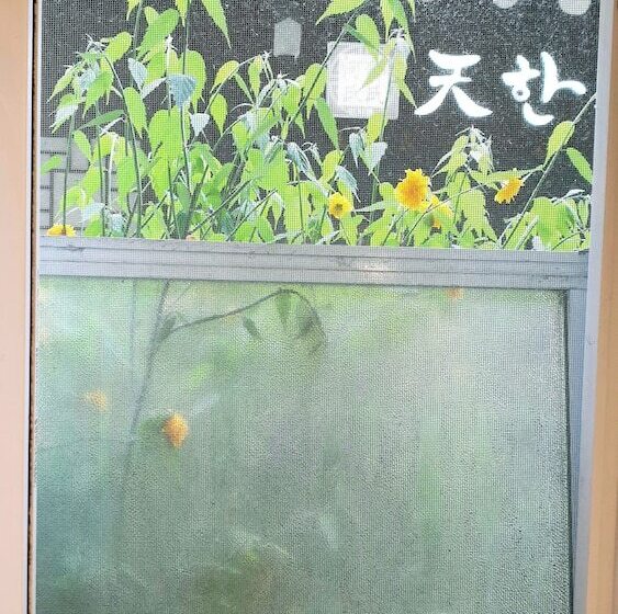 اتاق اکونومی, Hi Guesthouse Insadong