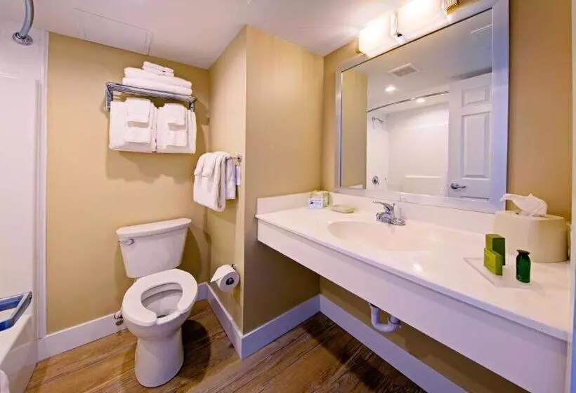 スイート, Commander Hotel & Suites
