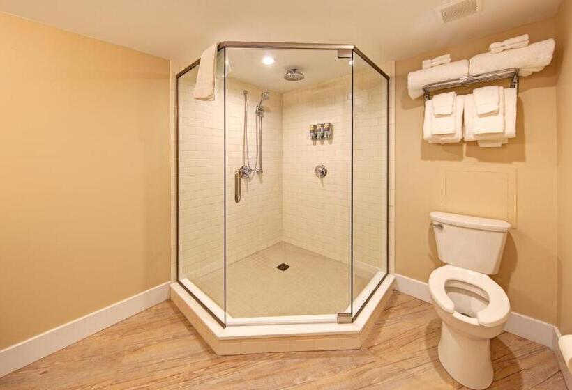 Deluxe Suite King Bed