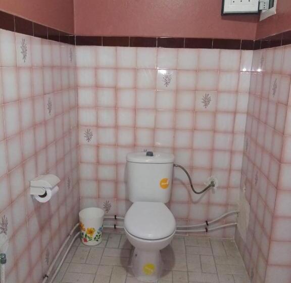 اتاق استاندارد یک نفره, Aswan