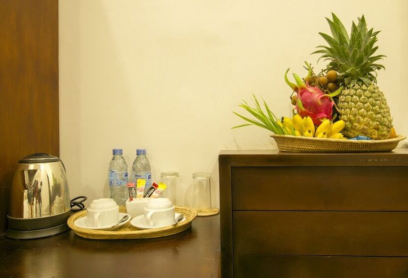 اتاق سوپریور, De Sonyn Boutique