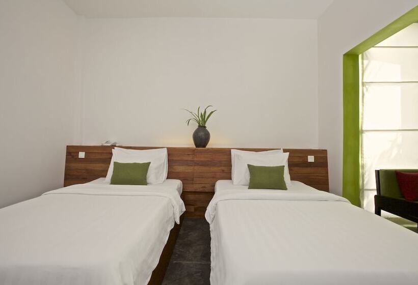 اتاق لوکس, De Sonyn Boutique