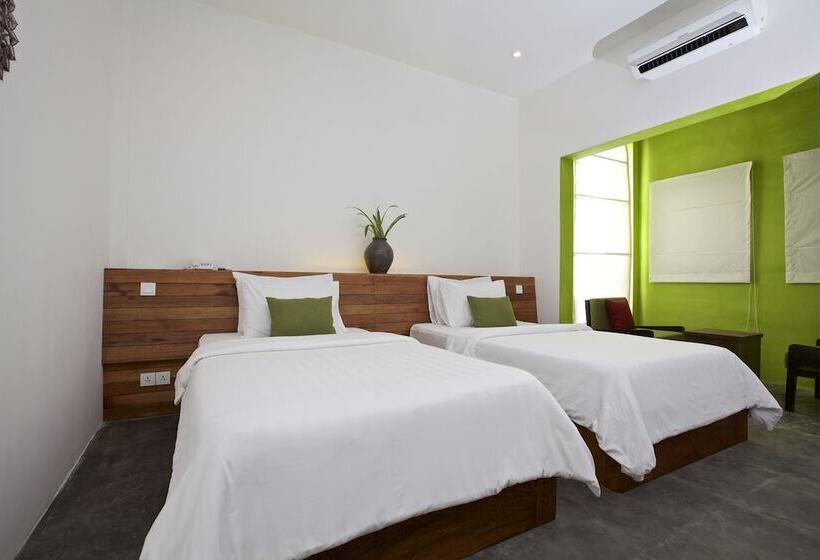 اتاق لوکس, De Sonyn Boutique