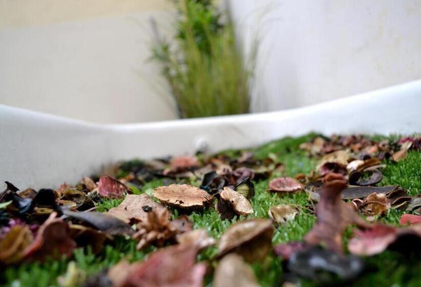 اتاق استاندارد با تراس, Green Domus