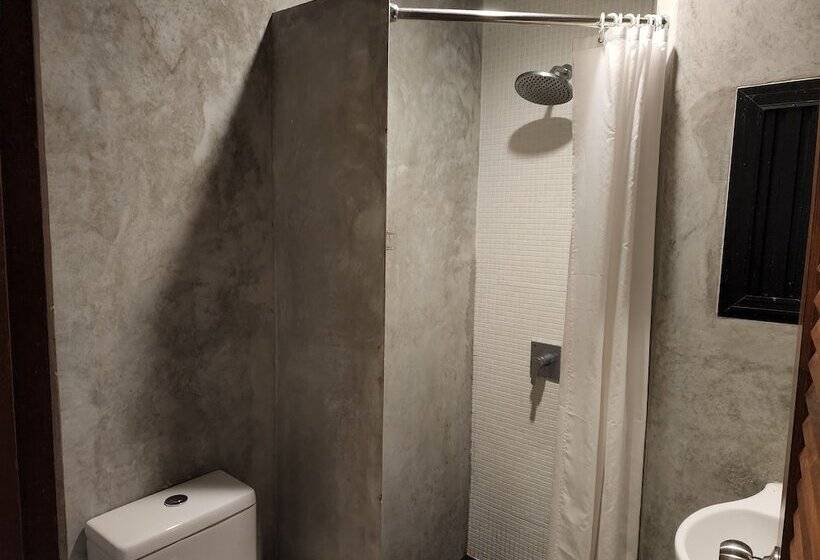 Cameră Deluxe, Dfeel House