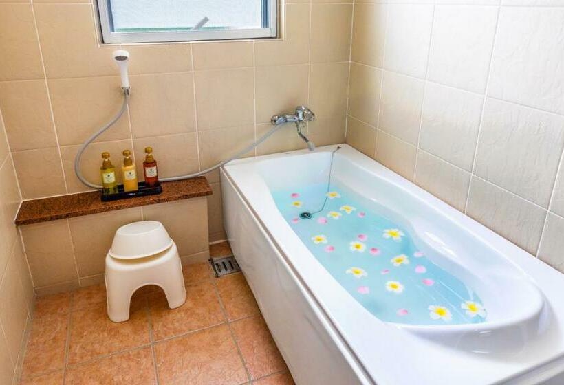 شقة غرفة واحدة, Nagura Village