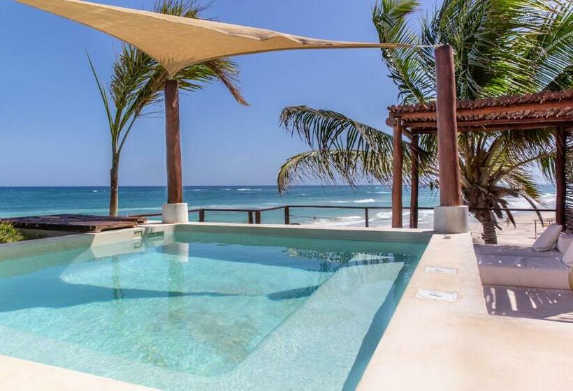 חדר בסיסי, La Zebra Boutique