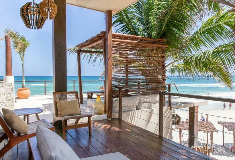 חדר בסיסי, La Zebra Boutique