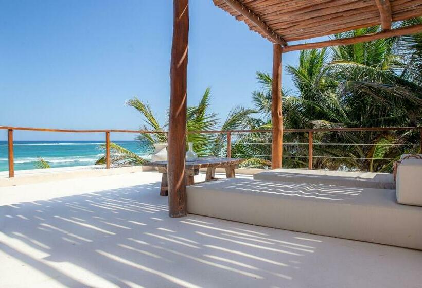 חדר בסיסי, La Zebra Boutique