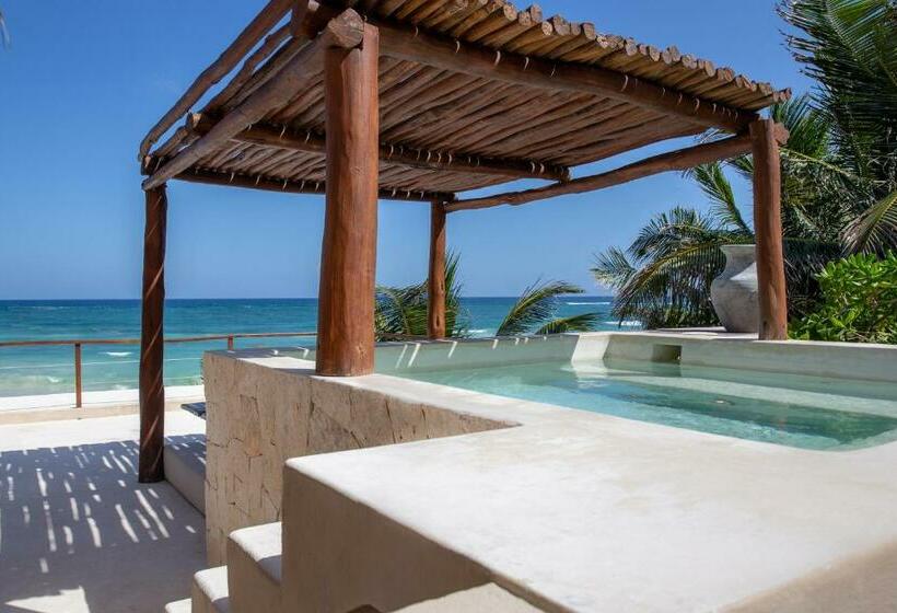 חדר בסיסי, La Zebra Boutique