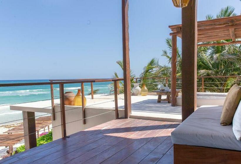 חדר בסיסי, La Zebra Boutique