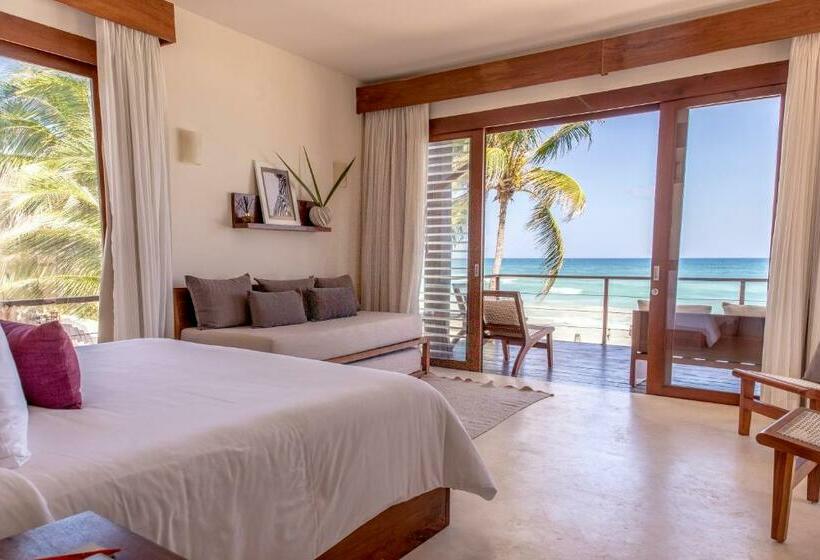 חדר בסיסי, La Zebra Boutique