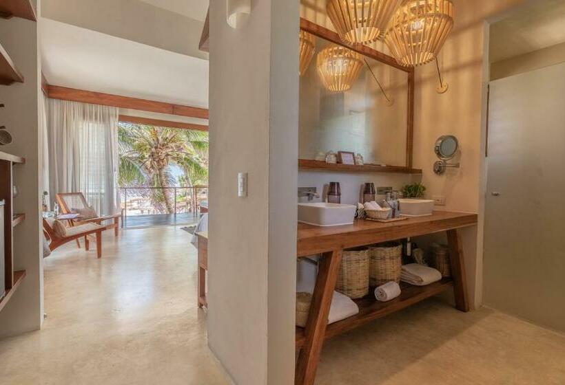 חדר בסיסי, La Zebra Boutique