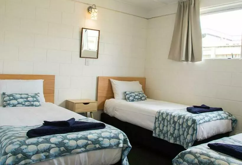 آپارتمان خانوادگی 2 خوابه, Alpha Motor Inn