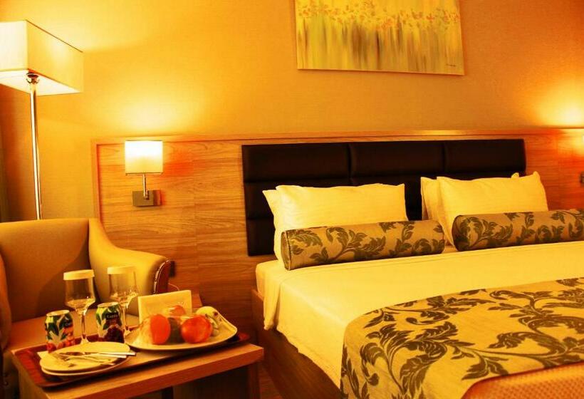 اتاق استاندارد, Park Dedeman Elazığ