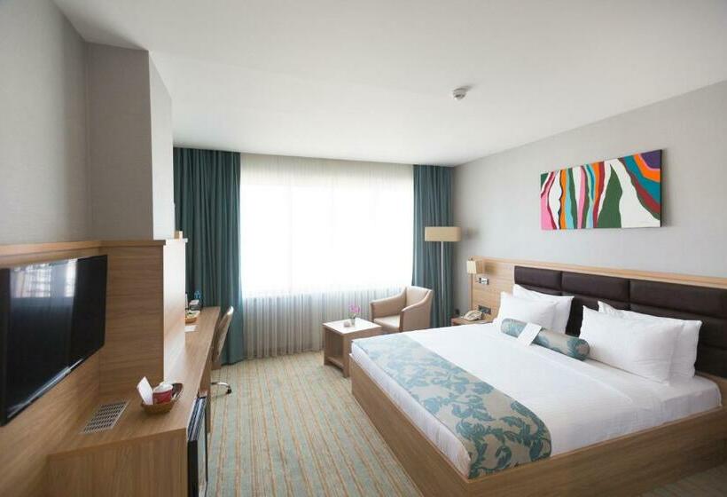 اتاق استاندارد, Park Dedeman Elazığ