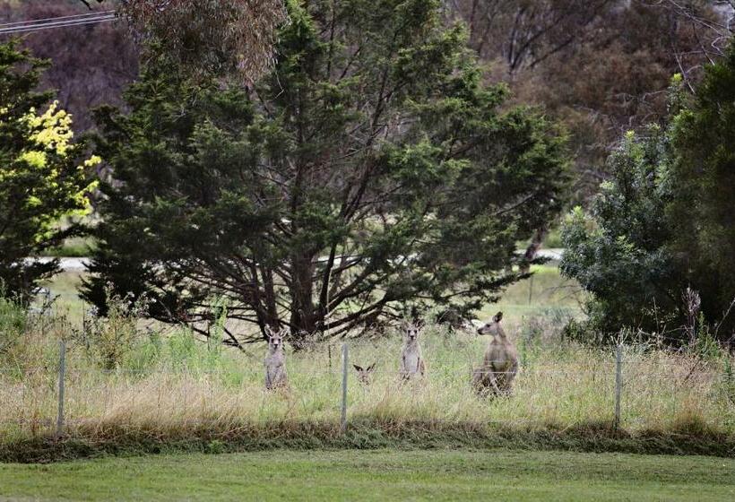 غرفة إقتصادية, Bathurst Goldfields Motel At 428 Conrod Straight Mount Panorama