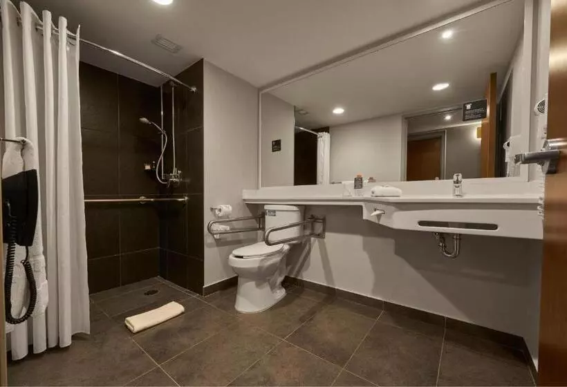 ２ダブルベッドのスタンダードルーム, City Express Plus By Marriott Ciudad De México Periférico Sur Tlalpan