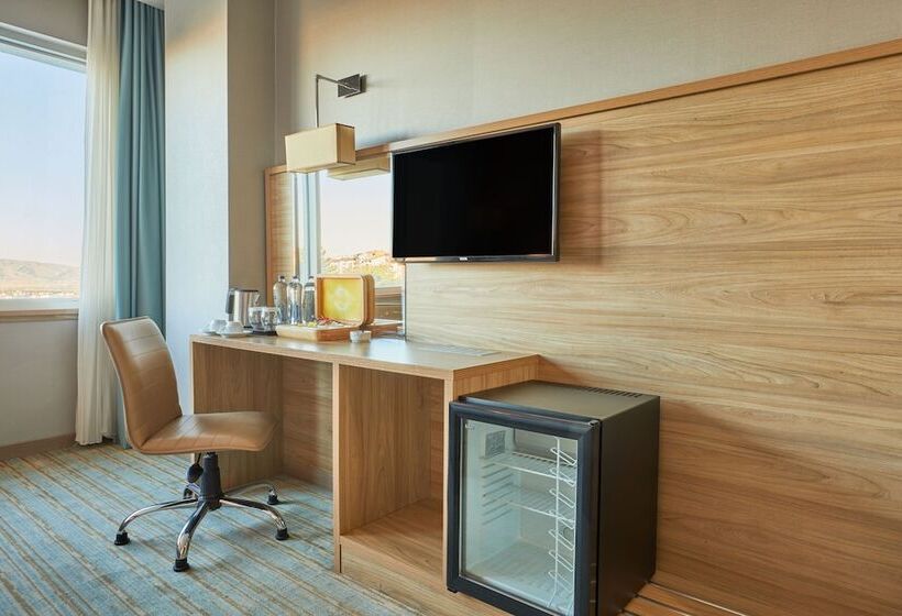 اتاق لوکس, Park Dedeman Elazığ